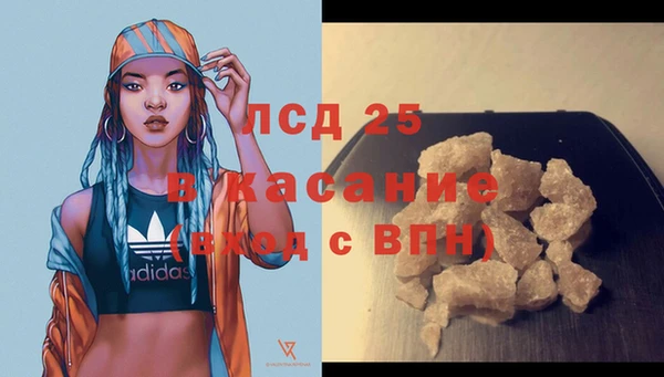 ПСИЛОЦИБИНОВЫЕ ГРИБЫ Вязьма