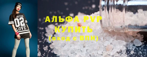 прущие грибы Вяземский