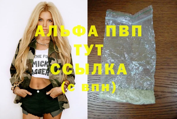 ПСИЛОЦИБИНОВЫЕ ГРИБЫ Вязьма