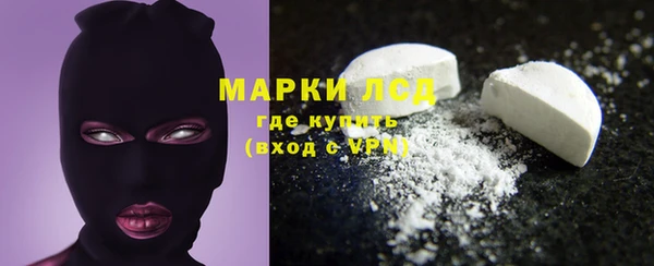 ПСИЛОЦИБИНОВЫЕ ГРИБЫ Вязьма