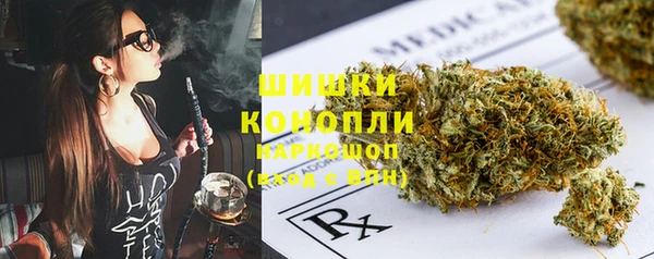 прущие грибы Вяземский