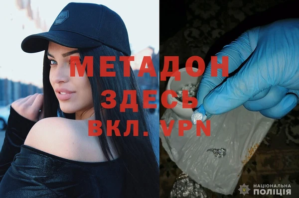 прущие грибы Вяземский