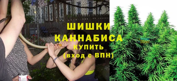 прущие грибы Вяземский