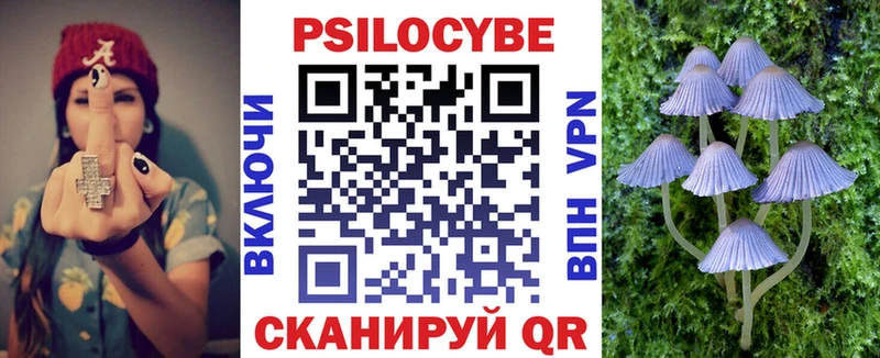 продажа наркотиков  Задонск  Псилоцибиновые грибы GOLDEN TEACHER 